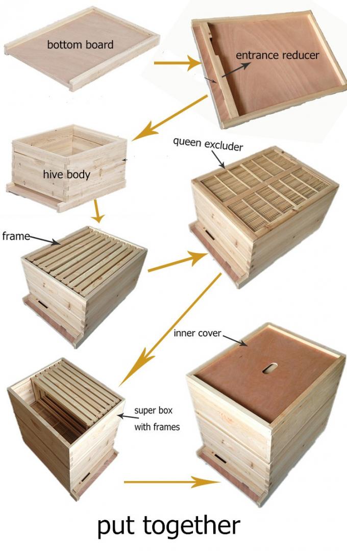 Apicultura comercial de la caja de la colmena de la abeja de Langstroth de la garantía