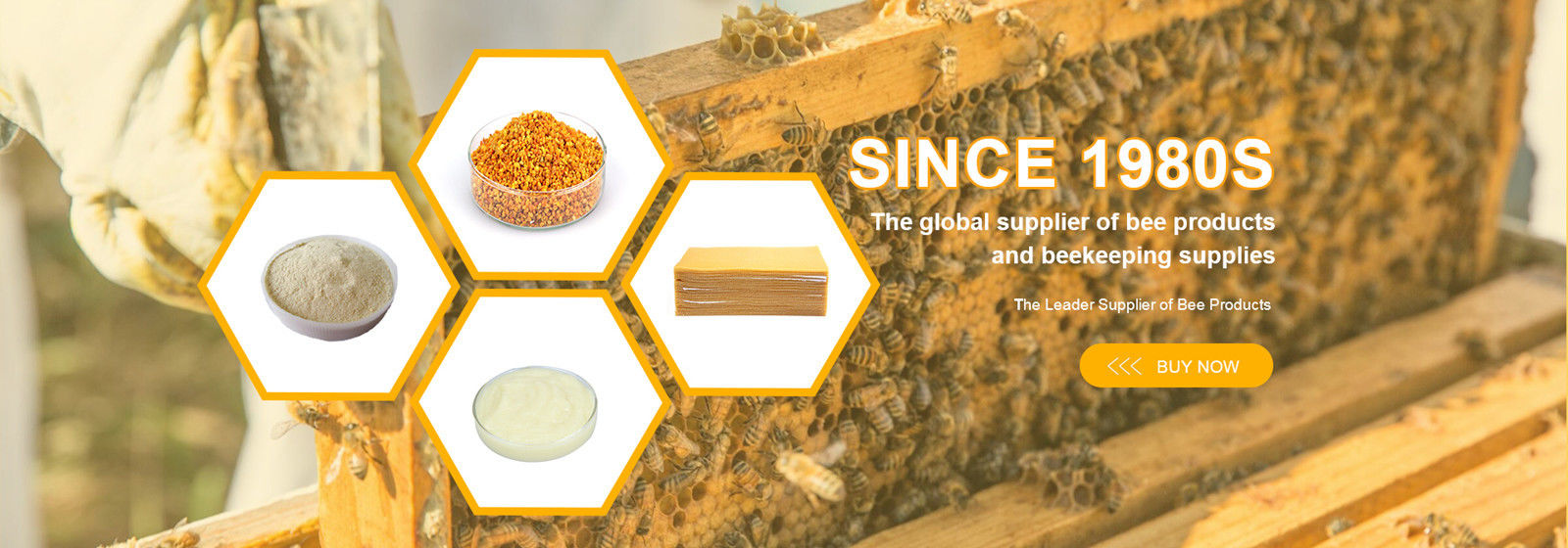 China el mejor extracto del propóleos de la abeja en ventas