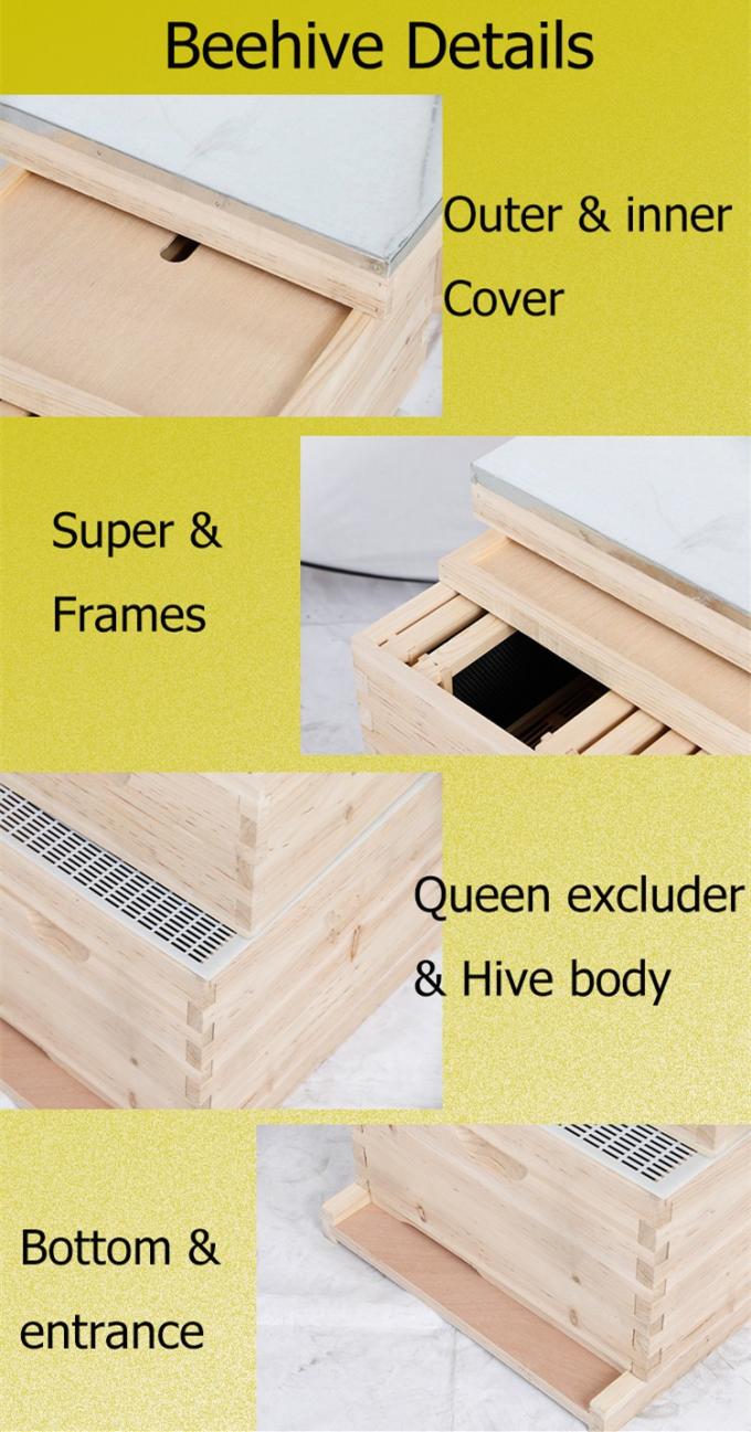 Apicultura comercial de la caja de la colmena de la abeja de Langstroth de la garantía