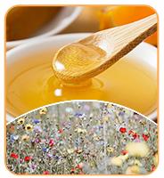 Suministro de fábrica a granel de miel negra de alta calidad, suplemento para la salud, miel negra de grado alimenticio envasada en cubos 5