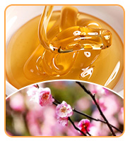 Suministro de fábrica a granel de miel negra de alta calidad, suplemento para la salud, miel negra de grado alimenticio envasada en cubos 6