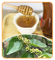 Suministro de fábrica a granel de miel negra de alta calidad, suplemento para la salud, miel negra de grado alimenticio envasada en cubos 8