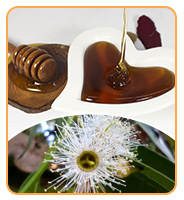 Suministro de fábrica a granel de miel negra de alta calidad, suplemento para la salud, miel negra de grado alimenticio envasada en cubos 13