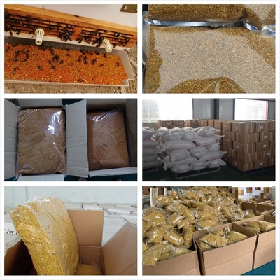 OEM Wholesale Bulk Fresh Organic Bee Pollen Food Grade Rape Bee Pollen 100% Pure Natural Herbal Extract
