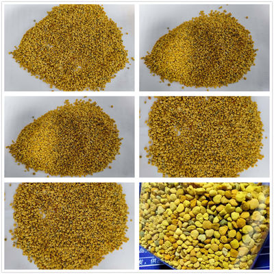 Natural Health Supplement Food Grade Fresh Rape/Sunflower Mixed Bee Pollen Factory Supply Bulk High Quality Bee Pollen