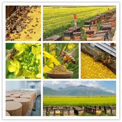 OEM Pure Natural Premium Rape Bee Pollen Direct From the Farm Food Grade Yellow Rape Bee Pollen