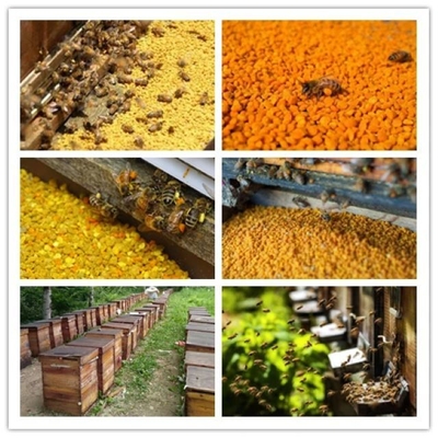 Hot Sale High Quality Sunflower Mixed Bee Pollen Manufacturer Supply Bulk Fresh Wild Sunflower Mixed Bee Pollen