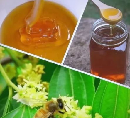 Wholesale Bulk Premium Amber Sidr Honey 100% Pure Natural Food Grade for Health Food