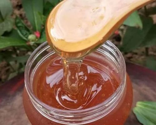 Sidr Honey High Quality Dietary Supplement Food Grade Fresh Sidr Honey 28kg in Barrel Packaging