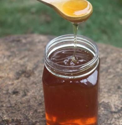 Best Price for Sale Jujube Honey 100% Pure Natural Food Grade Honey Wholesale Bulk Jujube Honey