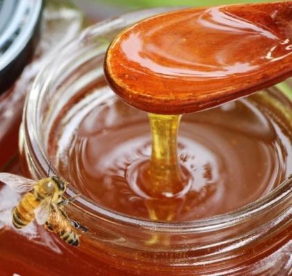 Best Price for Sale Natural  Jujube Honey Food Grade Health Supplement High Quality Fresh Jujube Honey