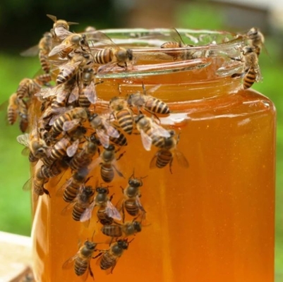 High Quality Amber Polyflora Honey High Nutritional Value Bee Product Fresh Organic Polyflora Honey Packaged in Barrel