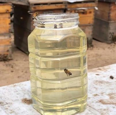 100% Pure Organic Wild Honey Halal Certified Bulk Packed for Export to Europe High Quality Fresh Acacia Honey
