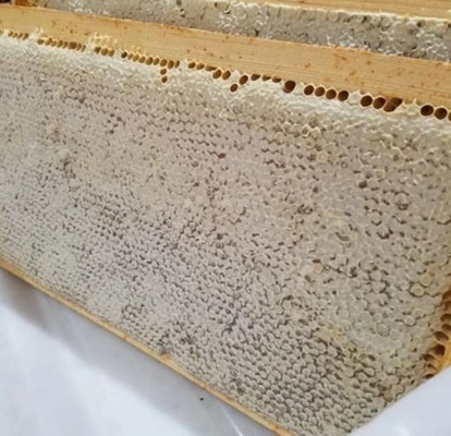 New Season Harvest Fresh Honeycomb Premium Health Product High Quality Natural Raw Comb Honey