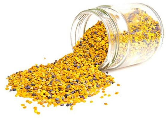 New Season Harvest Corn Bee Pollen Premium Health Care Product 100% Pure Natural Corn Bee Pollen