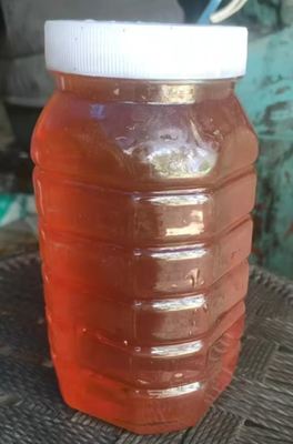 OEM Factory Supply Fresh Eucalyptus Honey Daily Health Supplement Food Grade Premium Eucalyptus Honey in Barrel Packaging