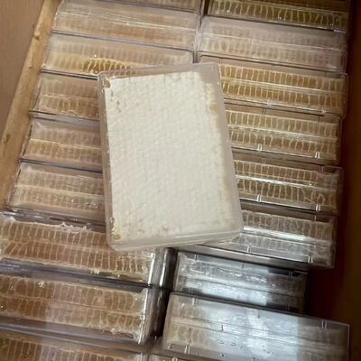 Factory Supply High Quality Raw Comb Honey 100 Percent Pure Natural Food Grade Health Supplement Edible Honeycomb Bulk