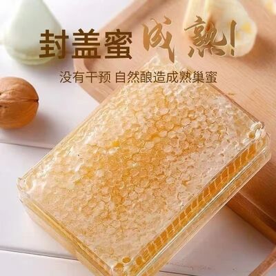 Best Price for Sale 100% Pure Natural Honeycomb High Quality Raw Honey Food Grade Comb Honey 500g in Box Packaging