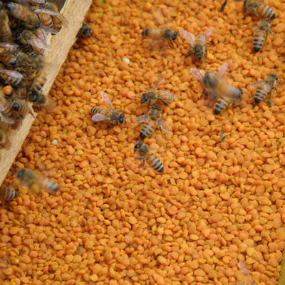 Super Sweet Tea Bee Pollen High Quality Pure Natural Bee Product New Harvest Fresh Tea Bee Pollen