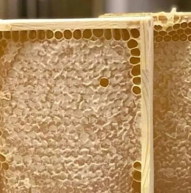 100% Pure Natural High Quality Honeycomb Food Grade Health Supplement Wholesale Bulk Fresh Organic Honeycomb