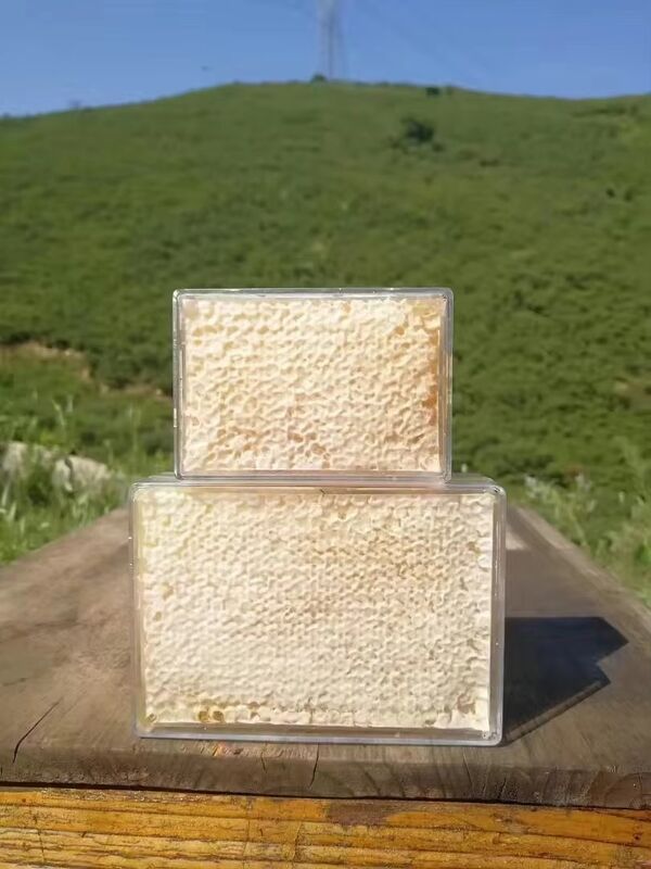 Premium Fresh Raw Honeycomb 500g Per Box 100% Pure Natural Sealed Comb Honey Bulk Supply